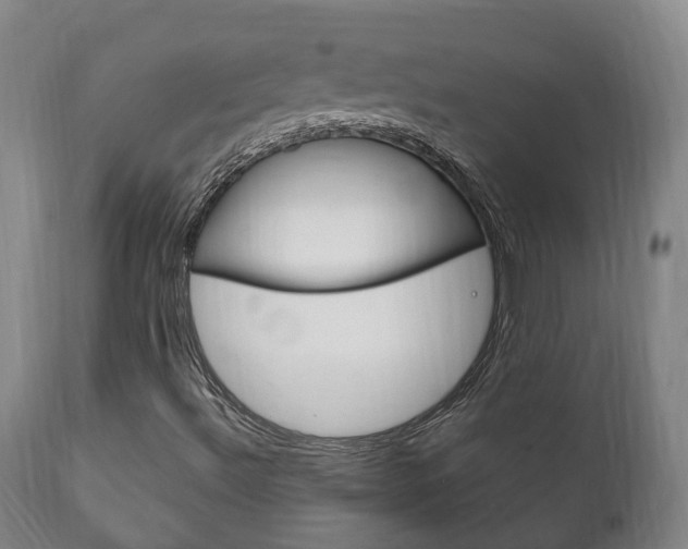 X0000111911492200907271022
