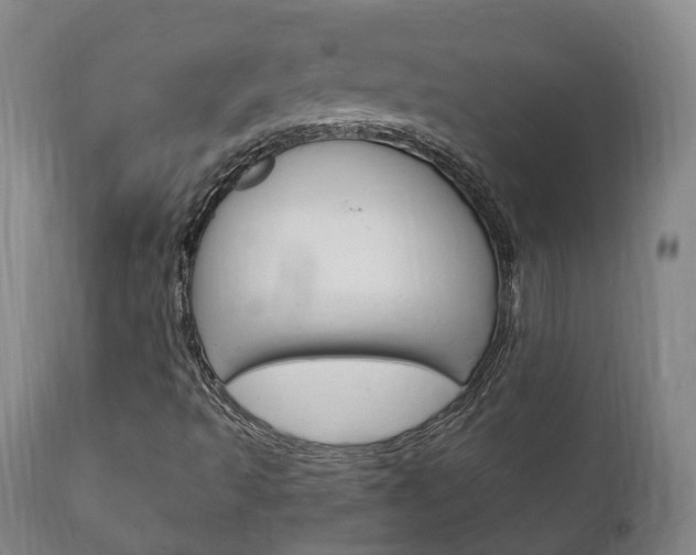 X0000111911493200907271022