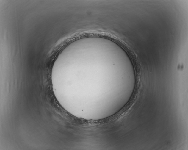 X0000111911494200907271022