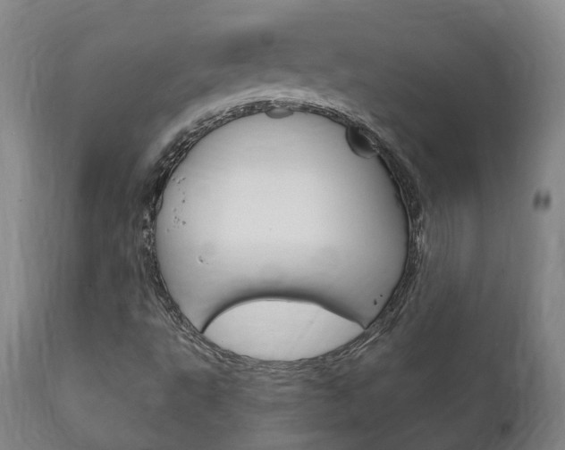 X0000111911495200907271022