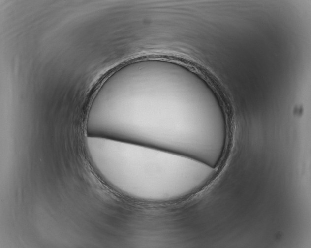 X0000111911497200907271022