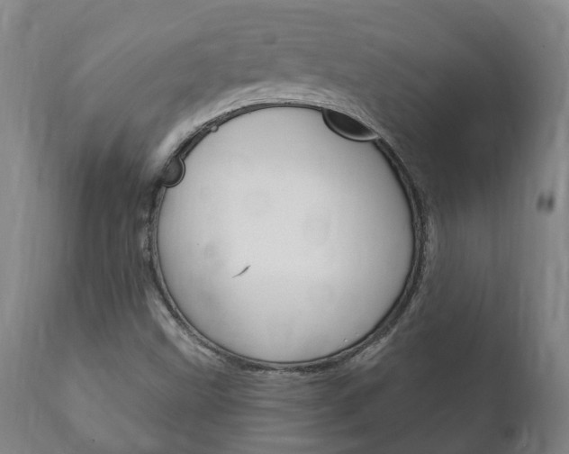X0000111911499200907271022