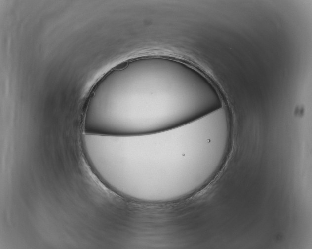 X0000111911500200907271022