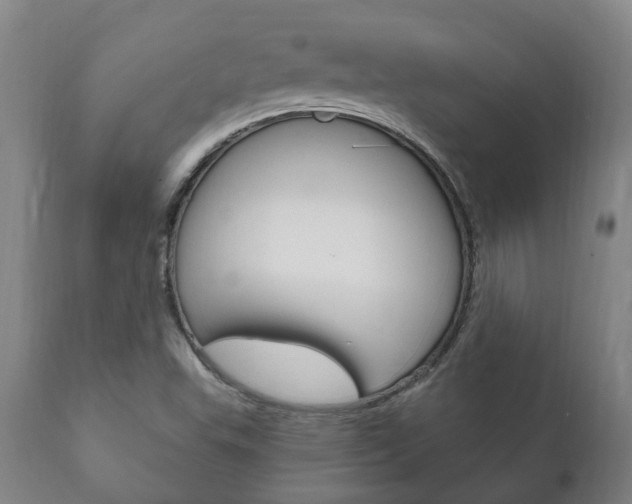 X0000111911503200907271022