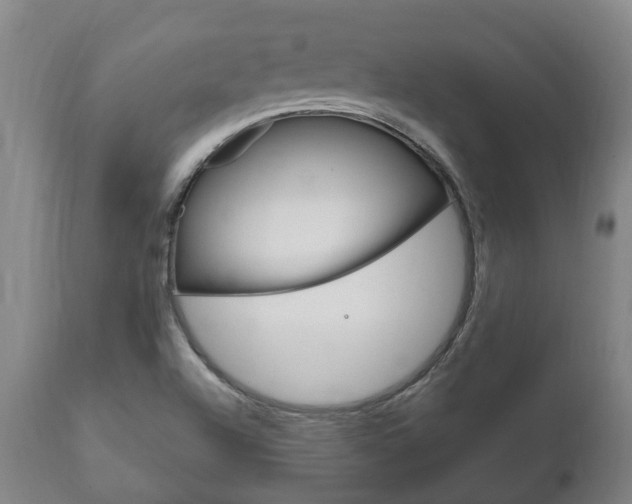 X0000111911504200907271022