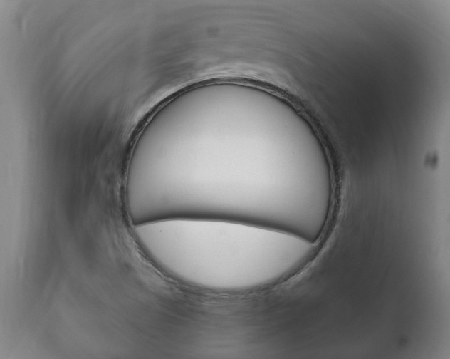X0000111911505200907271022