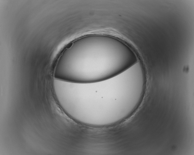X0000111911506200907271022
