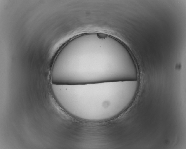 X0000111911507200907271022