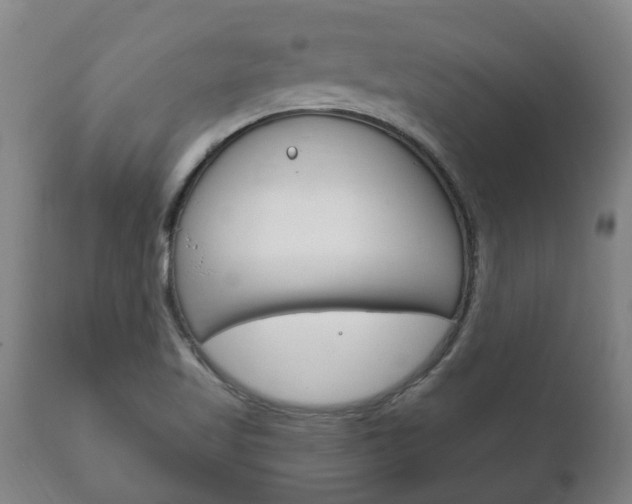 X0000111911509200907271022