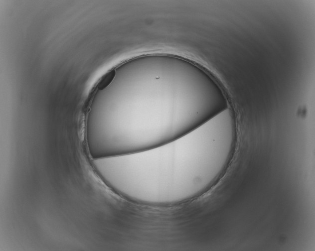X0000111911510200907271022