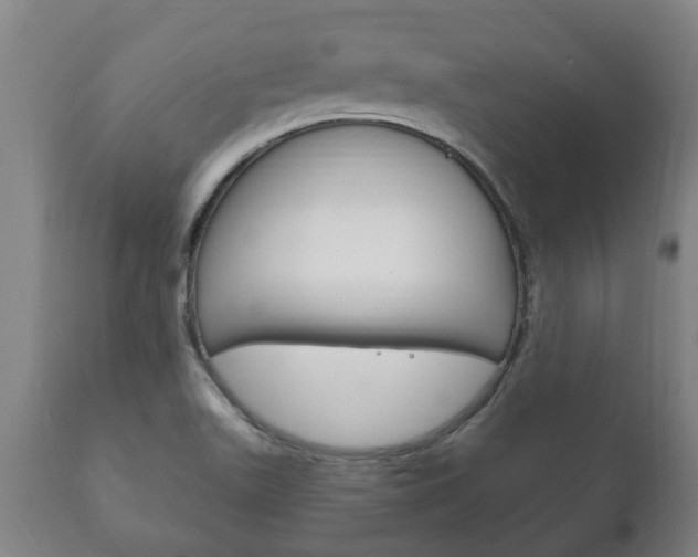 X0000111911511200907271022