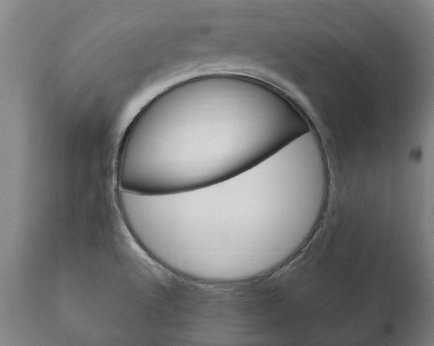 X0000111911512200907271022