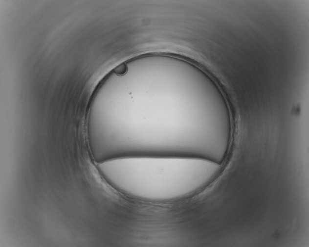 X0000111911513200907271022