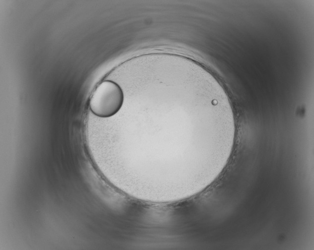 X0000111911514200907271022