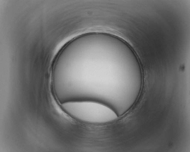 X0000111911515200907271022