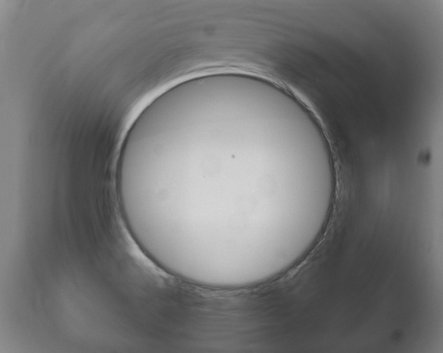 X0000111911516200907271022