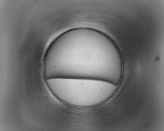 X0000111911517200907271022