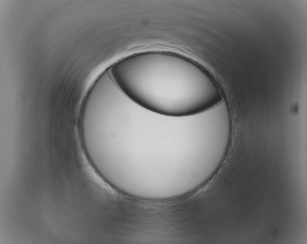 X0000111911518200907271022