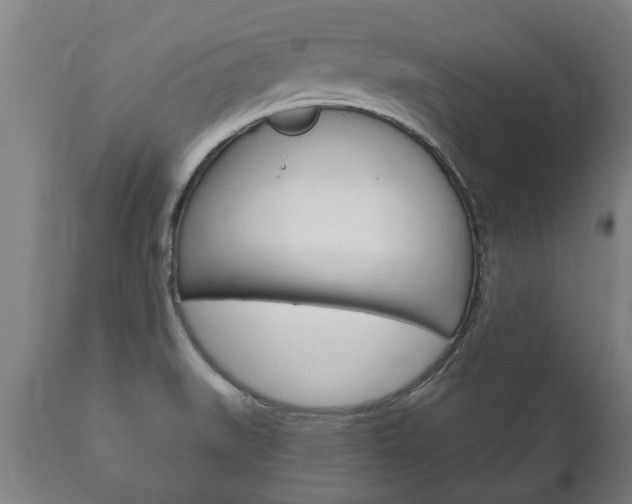 X0000111911519200907271022
