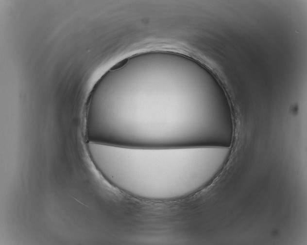 X0000111911520200907271022