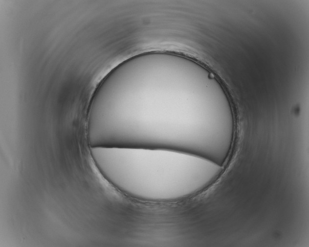 X0000111911521200907271022
