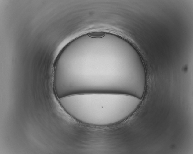 X0000111911522200907271022