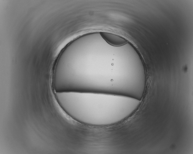 X0000111911523200907271022