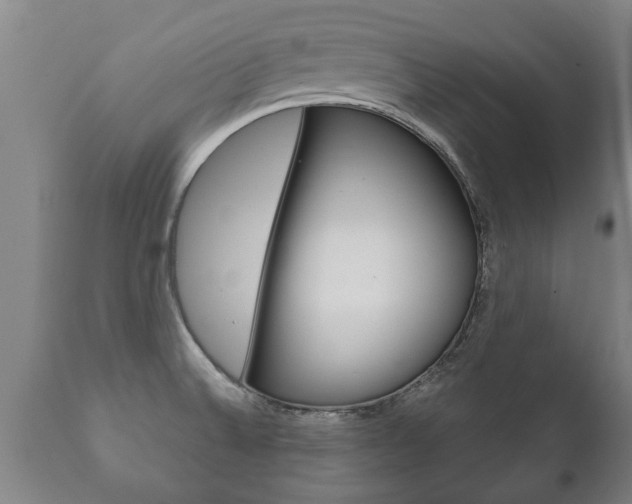 X0000111911524200907271022