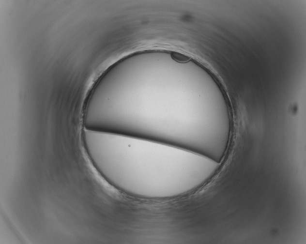 X0000111911525200907271022