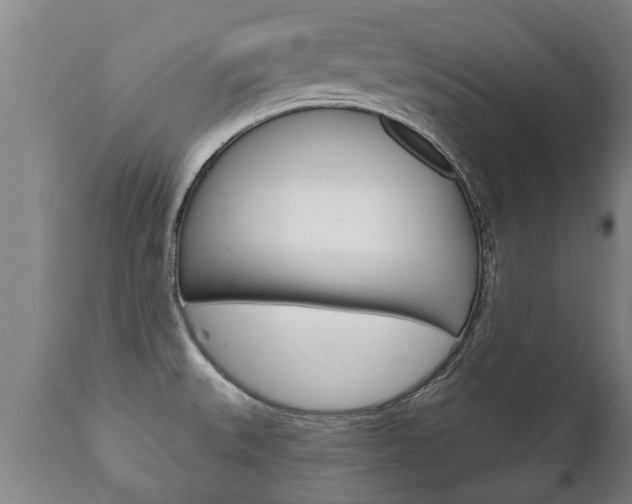 X0000111911527200907271022