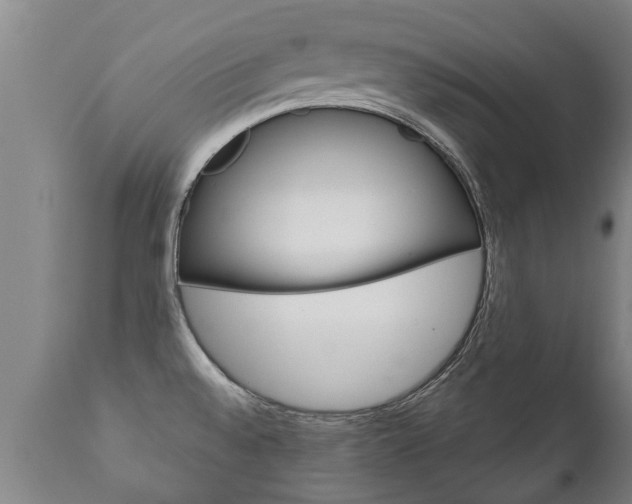 X0000111911528200907271022