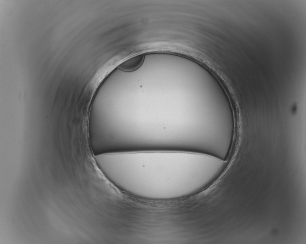 X0000111911529200907271022