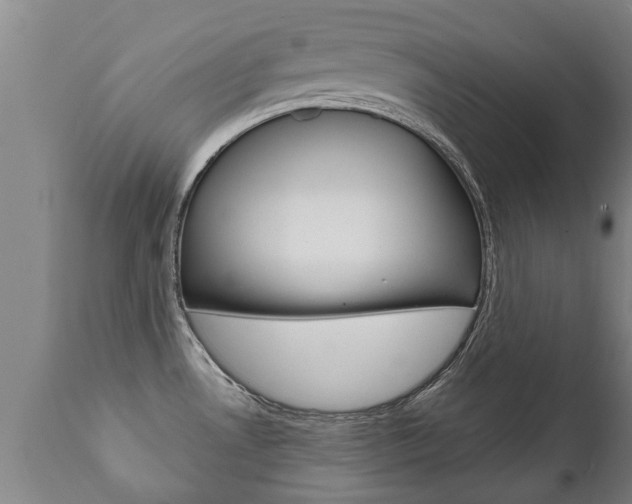 X0000111911530200907271022