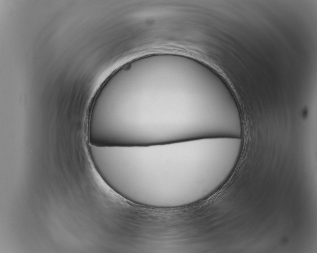 X0000111911531200907271022