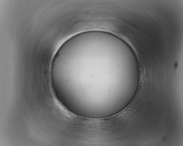 X0000111911532200907271022