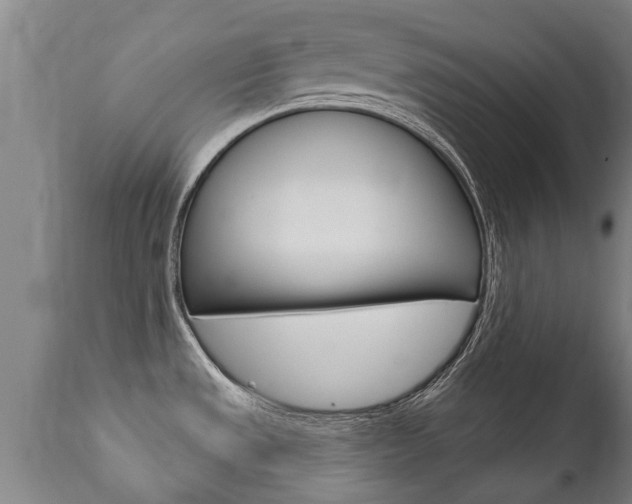 X0000111911533200907271022
