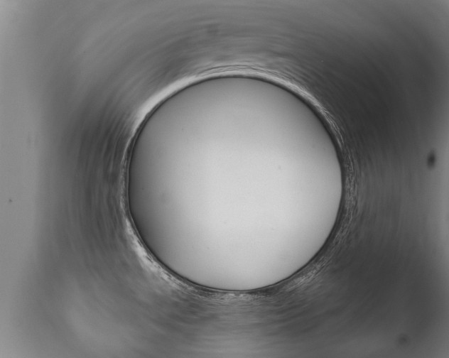 X0000111911534200907271022