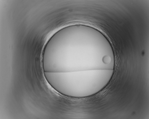 X0000111911535200907271022