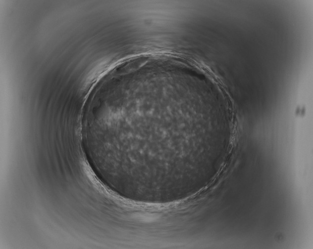 X0000111910002200907271232