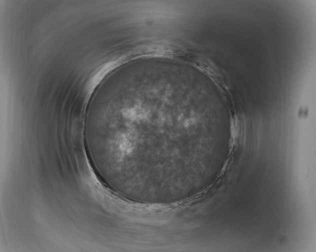 X0000111910003200907271232