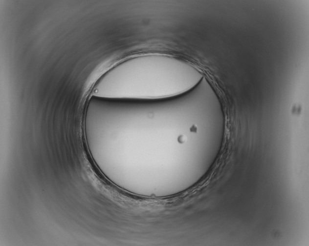 X0000111910004200907271232