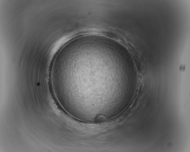 X0000111910006200907271232