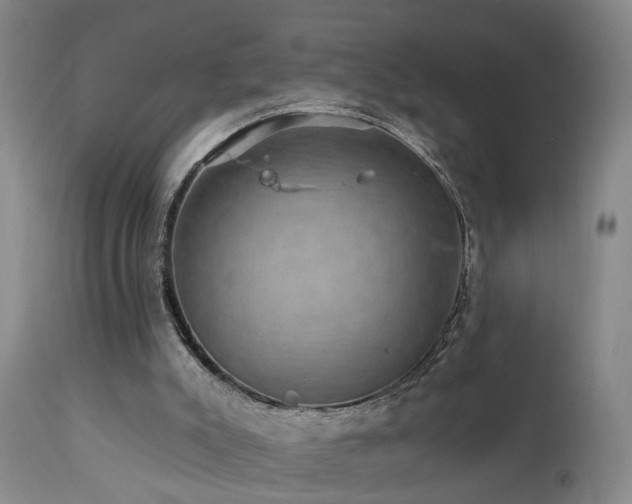 X0000111910007200907271232