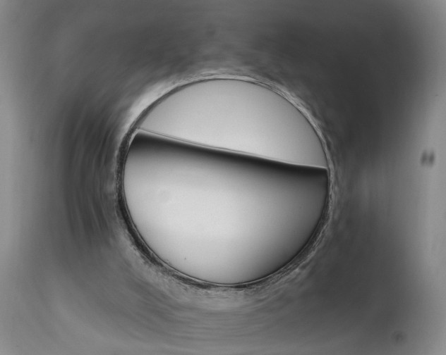 X0000111910008200907271232