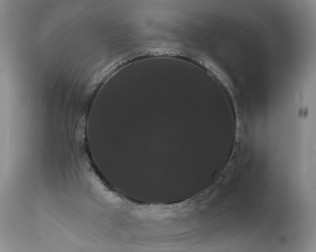X0000111910009200907271232