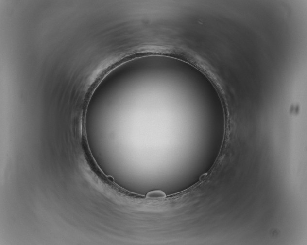 X0000111910011200907271232