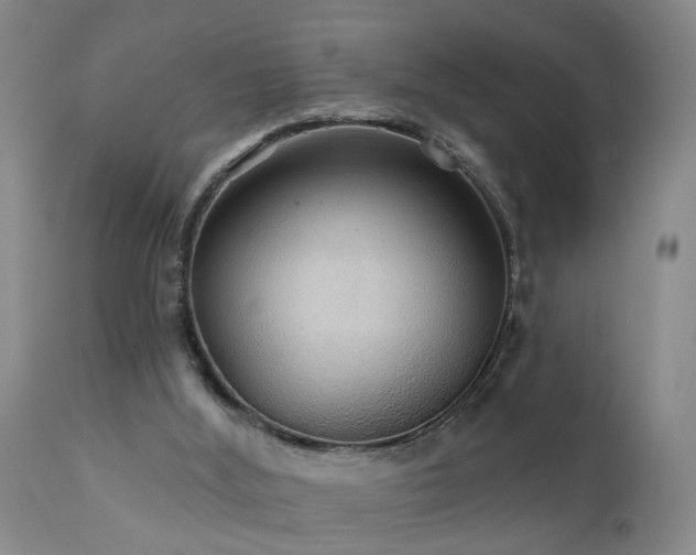 X0000111910012200907271232