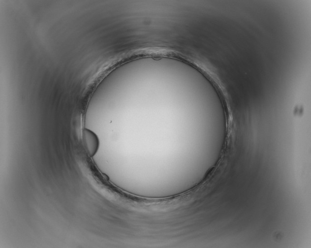 X0000111910013200907271232