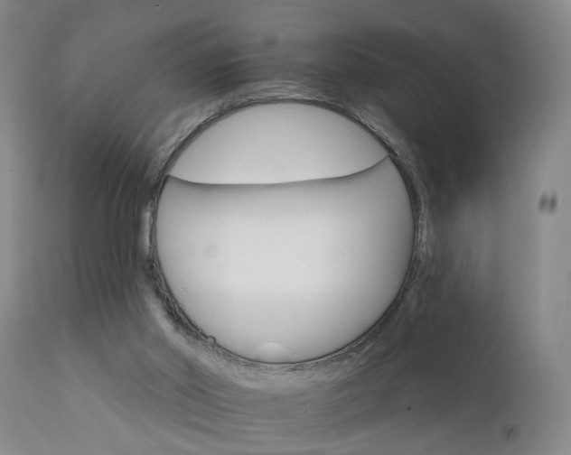 X0000111910014200907271232