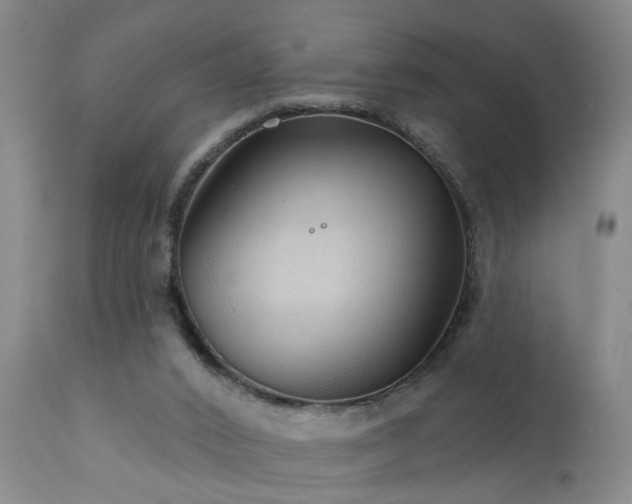 X0000111910016200907271232
